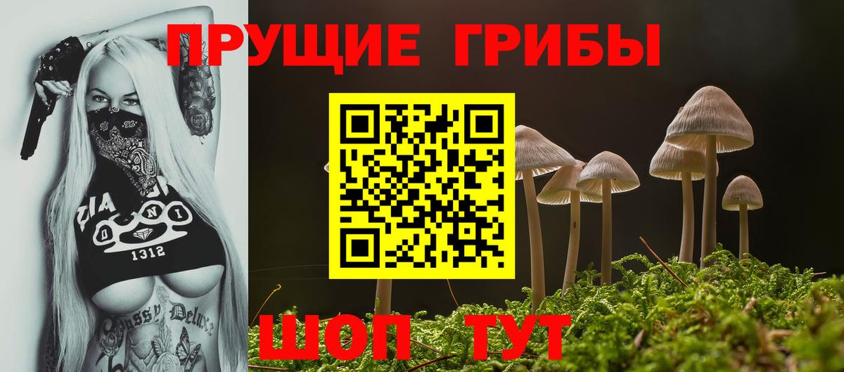 Псилоцибиновые грибы Psilocybine cubensis  Вход с VPN  Реж  Галлюциногенные грибы GOLDEN TEACHER 